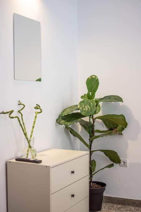 Botanical Apartment Atena Exterior foto